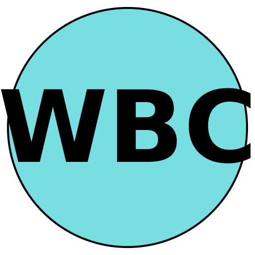 Wisdom Beauty Co.